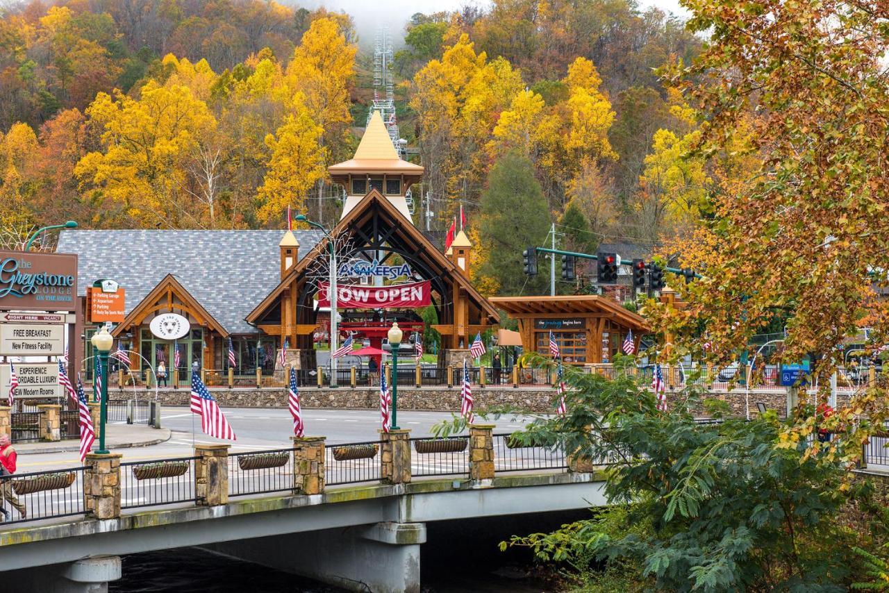 Lazy Cub Lodge Pigeon Forge Ngoại thất bức ảnh