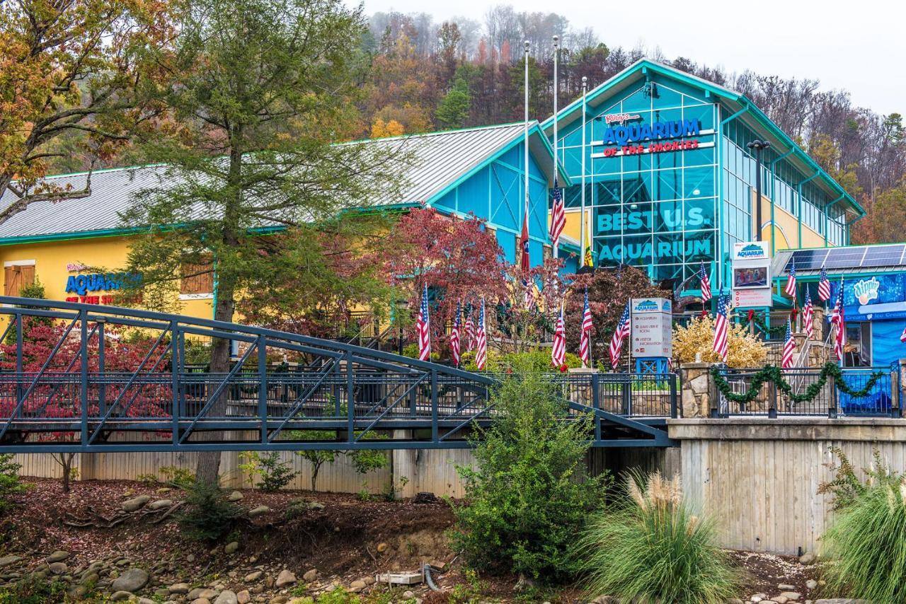 Lazy Cub Lodge Pigeon Forge Ngoại thất bức ảnh