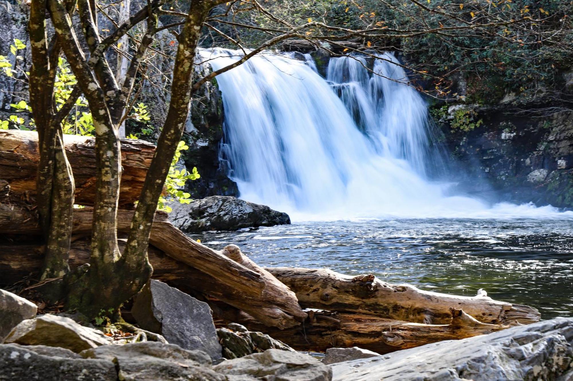 Lazy Cub Lodge Pigeon Forge Ngoại thất bức ảnh
